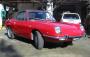 Fiat 850 Sport Spider di Daniele 7