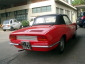 Fiat 850 Spider di Giuseppe2